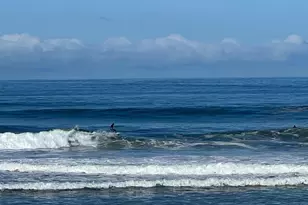 1483 47th Ave, San Francisco, CA 94122 - Photo 27