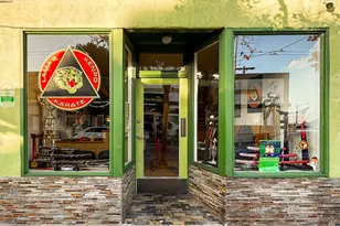 247 Gates St, San Francisco, CA 94110 - Photo 59