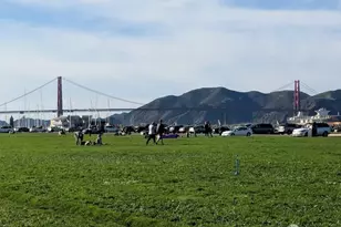 3235 Gough St, San Francisco, CA 94123 - Photo 19