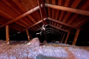 178 Allison St, San Francisco, CA 94112 - Photo 55