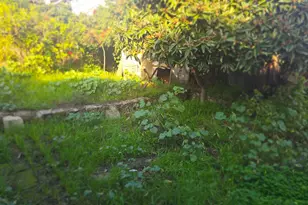 8336 Ney Ave, Oakland, CA 94605 - Photo 19