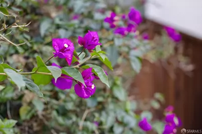 340 Sanchez Street, San Francisco, CA 94114 - Photo 33