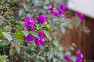 340 Sanchez St, San Francisco, CA 94114 - Photo 33