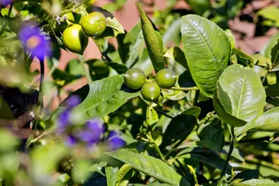 340 Sanchez Street, San Francisco, CA 94114 - Photo 37