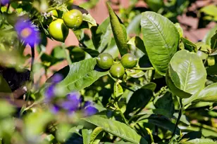 340 Sanchez St, San Francisco, CA 94114 - Photo 37