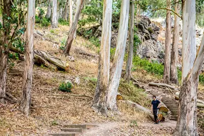 20 Parkridge Drive #4, San Francisco, CA 94131 - Photo 43