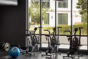 1 Bristol Court, San Francisco, CA 94130 - Photo 19