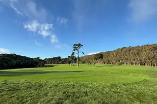 847 Arguello Blvd, San Francisco, CA 94118 - Photo 67