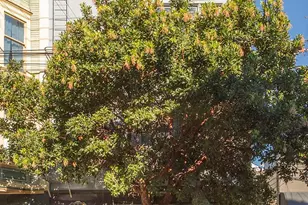 4072-4074 24th St, San Francisco, CA 94114 - Photo 3