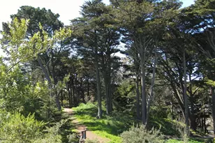 351 Buena Vista E Ave, San Francisco, CA 94117 - Photo 25