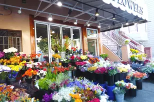 351 Buena Vista E Ave, San Francisco, CA 94117 - Photo 35