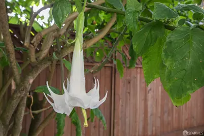 32 Richland Avenue #32, San Francisco, CA 94110 - Photo 25