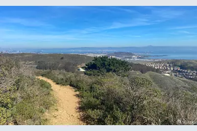 22 Tioga Avenue, San Francisco, CA 94134 - Photo 89