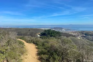 22 Tioga Ave, San Francisco, CA 94134 - Photo 89