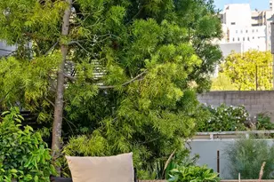 2678 Sacramento St, San Francisco, CA 94115 - Photo 31