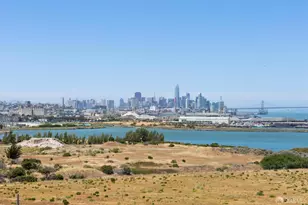 451 Donahue St, San Francisco, CA 94124 - Photo 51