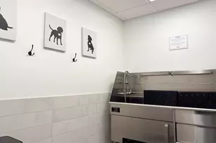 285 Main St, San Francisco, CA 94105 - Photo 13