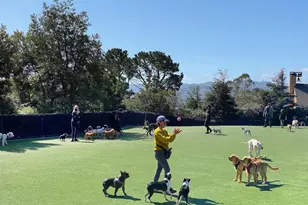 5330 Diamond Heights Blvd, San Francisco, CA 94131 - Photo 43