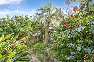 134 Sears St, San Francisco, CA 94112 - Photo 19