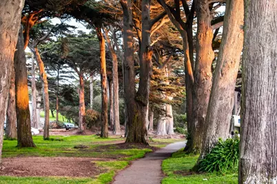 663 28th Avenue, San Francisco, CA 94121 - Photo 83