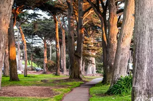 663 28th Ave, San Francisco, CA 94121 - Photo 83