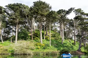 1239 19th Ave, San Francisco, CA 94122 - Photo 19