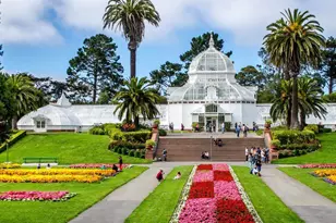 1239 19th Ave, San Francisco, CA 94122 - Photo 29