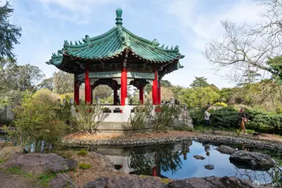 1239 19th Avenue, San Francisco, CA 94122 - Photo 17