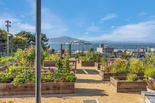 1145 Green St, San Francisco, CA 94109 - Photo 67