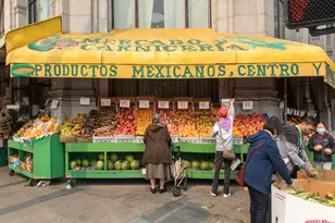 22 Shawnee Ave, San Francisco, CA 94112 - Photo 79