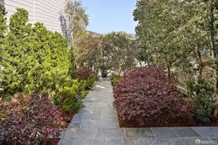 341 Lombard St, San Francisco, CA 94133 - Photo 43