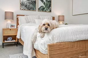 1000 3rd St, San Francisco, CA 94158 - Photo 33