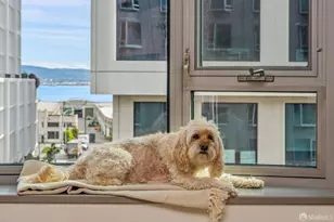 1000 3rd St, San Francisco, CA 94158 - Photo 41