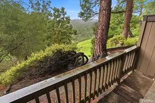 3355 Brittan Ave, San Carlos, CA 94070 - Photo 33