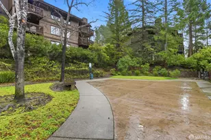 3355 Brittan Ave, San Carlos, CA 94070 - Photo 37