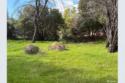 236 King Avenue #C, Piedmont, CA 94610 - Photo 65