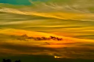 1815 18th Ave, San Francisco, CA 94122 - Photo 5