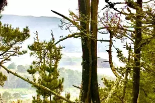 635 Parkview Cir, Pacifica, CA 94044 - Photo 45