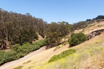 100 Encline Court, San Francisco, CA 94127 - Photo 71