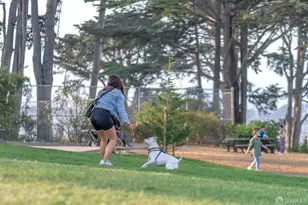 425-431 Linden St, San Francisco, CA 94102 - Photo 21