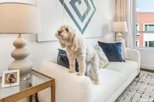 110 Channel St, San Francisco, CA 94158 - Photo 3