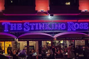 165 Valparaiso St, San Francisco, CA 94133 - Photo 75