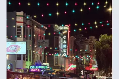 165 Valparaiso Street, San Francisco, CA 94133 - Photo 39