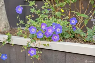 4149 26th St, San Francisco, CA 95131 - Photo 37