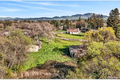 2641 Larkey Lane, Walnut Creek, CA 94597 - Photo 3