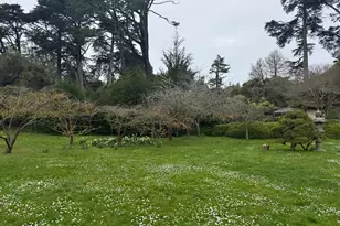 1482 18th Ave, San Francisco, CA 94122 - Photo 41