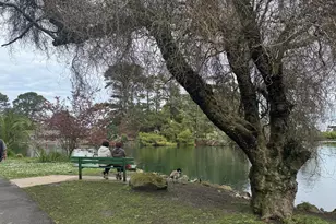 1482 18th Ave, San Francisco, CA 94122 - Photo 39