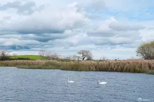 1256 Mokelumne Ct, Antioch, CA 94531 - Photo 61