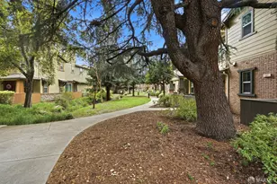 2541 Oak Rd, Walnut Creek, CA 94597 - Photo 55