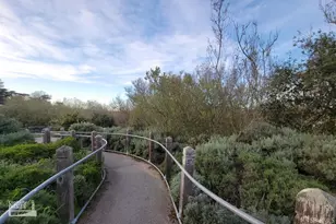 138 Summit Way, San Francisco, CA 94132 - Photo 55